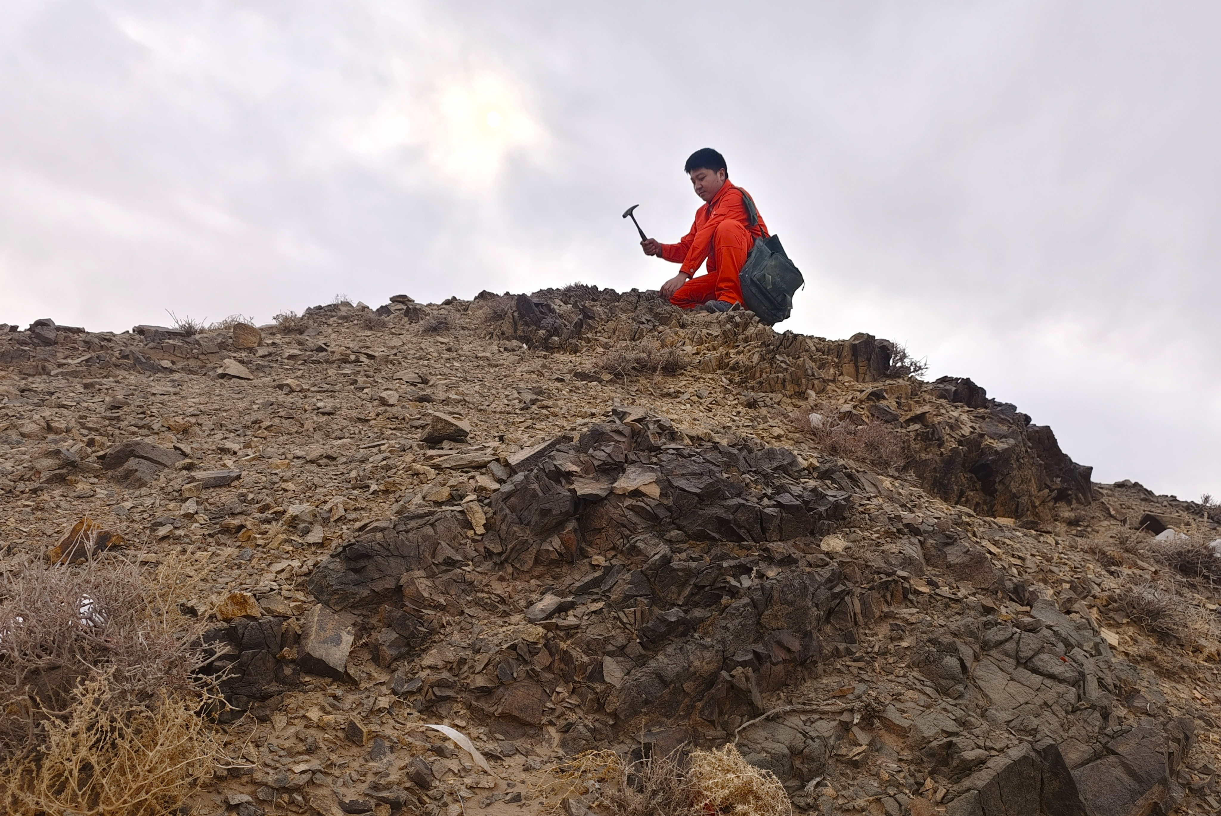 皇家国际·(中国区)有限公司官网