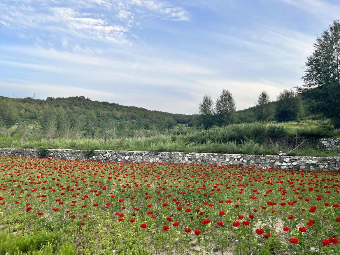 皇家国际·(中国区)有限公司官网