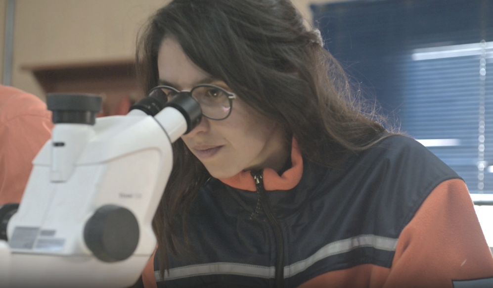 皇家国际·(中国区)有限公司官网